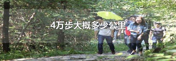 4万步大概多少公里