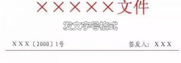 发文字号格式