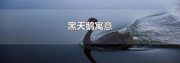 黑天鹅寓意