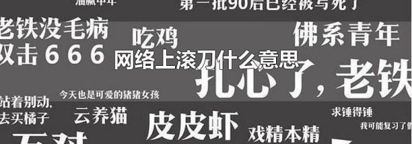 网络上滚刀什么意思