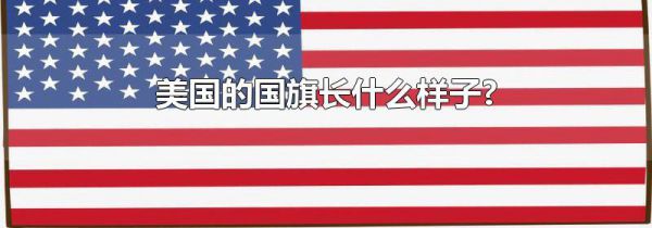 美国的国旗长什么样子?
