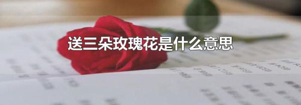 送三朵玫瑰花是什么意思