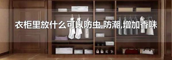 衣柜里放什么可以防虫,防潮,增加香味