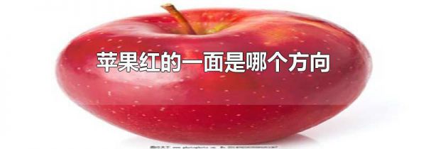 苹果红的一面是哪个方向