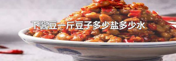 下酱豆一斤豆子多少盐多少水