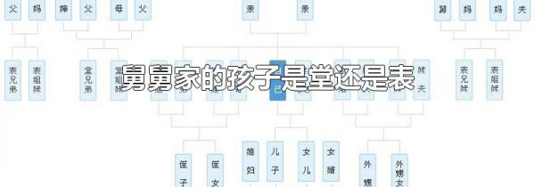 舅舅家的孩子是堂还是表