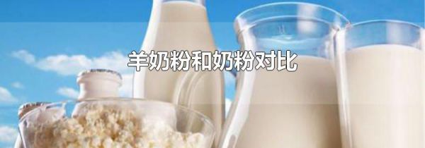 羊奶粉和奶粉对比