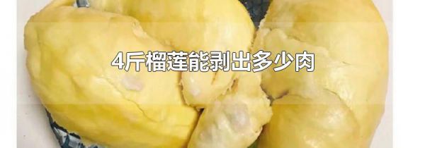 4斤榴莲能剥出多少肉