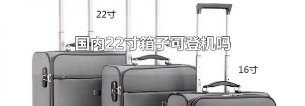 国内22寸箱子可登机吗