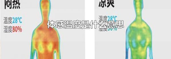 体感温度是什么意思