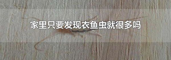 家里只要发现衣鱼虫就很多吗