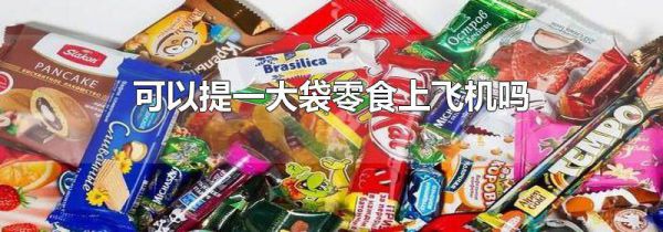 可以提一大袋零食上飞机吗