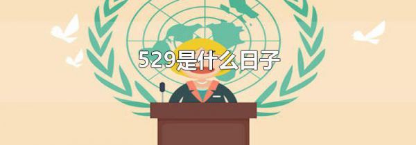529是什么日子