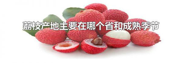 荔枝产地主要在哪个省和成熟季节