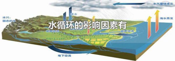 水循环的影响因素有