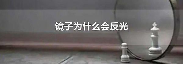 镜子为什么会反光
