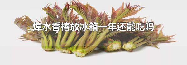 焯水香椿放冰箱一年还能吃吗
