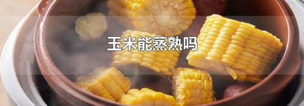 玉米能蒸熟吗