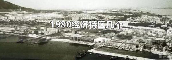 1980经济特区几个
