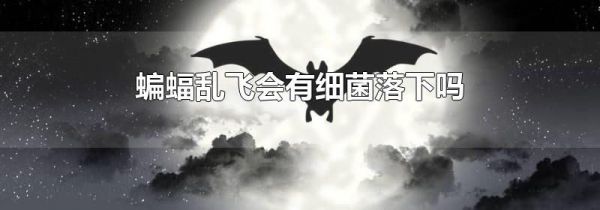 蝙蝠乱飞会有细菌落下吗