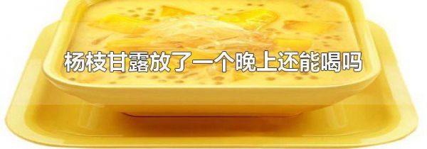 杨枝甘露放了一个晚上还能喝吗