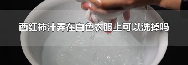 西红柿汁弄在白色衣服上可以洗掉吗