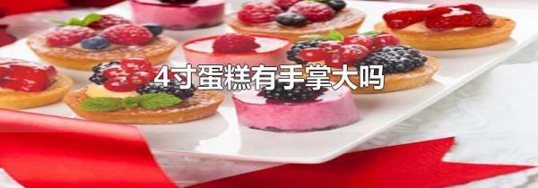 4寸蛋糕有手掌大吗