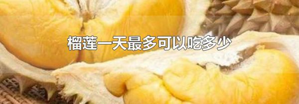 榴莲一天最多可以吃多少