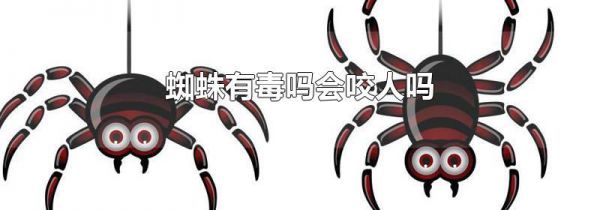 蜘蛛有毒吗会咬人吗