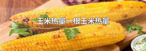 玉米热量一根玉米热量