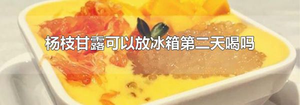杨枝甘露可以放冰箱第二天喝吗