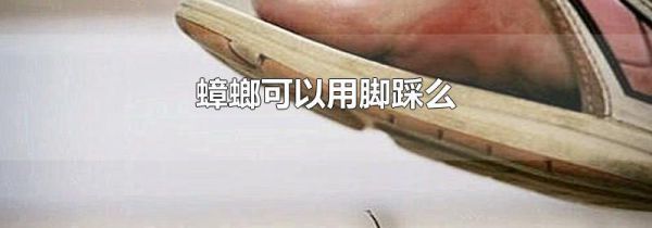 蟑螂可以用脚踩么