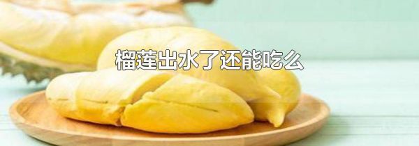 榴莲出水了还能吃么