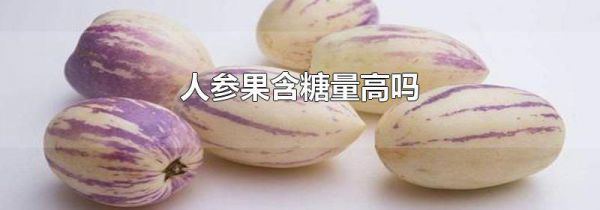 人参果含糖量高吗