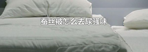 蚕丝被怎么去尿骚味