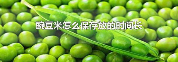 豌豆米怎么保存放的时间长