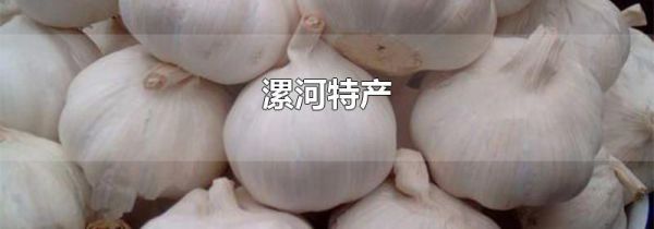 漯河特产