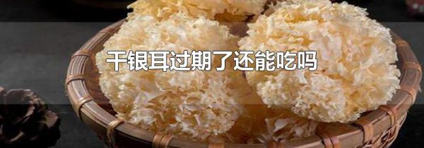 干银耳过期了还能吃吗