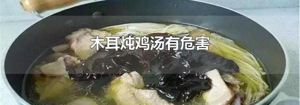 木耳炖鸡汤有危害