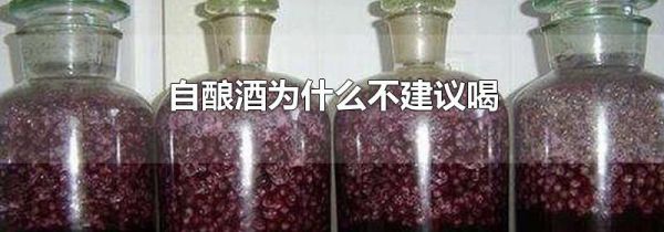 自酿酒为什么不建议喝