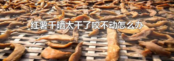 红薯干晒太干了咬不动怎么办