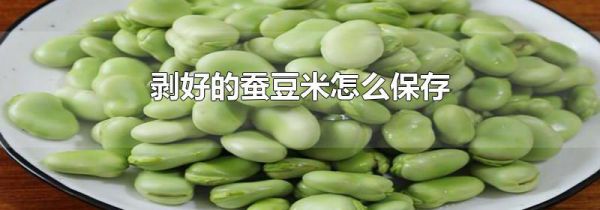 剥好的蚕豆米怎么保存