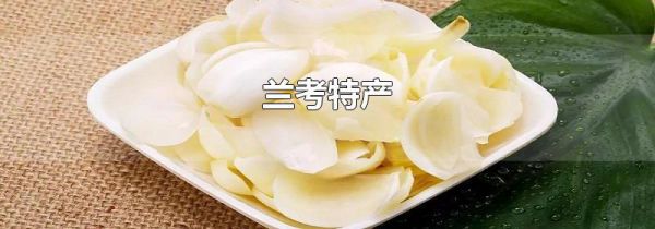 兰考特产