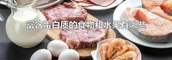 富含蛋白质的食物和水果有哪些