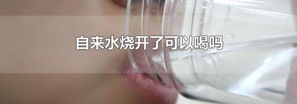 自来水烧开了可以喝吗