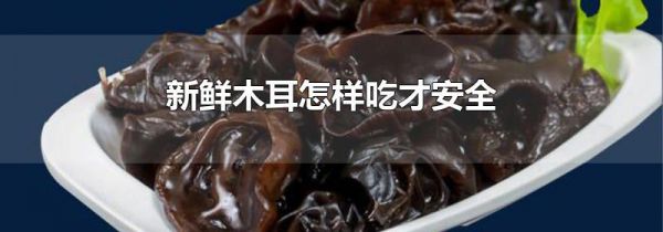新鲜木耳怎样吃才安全