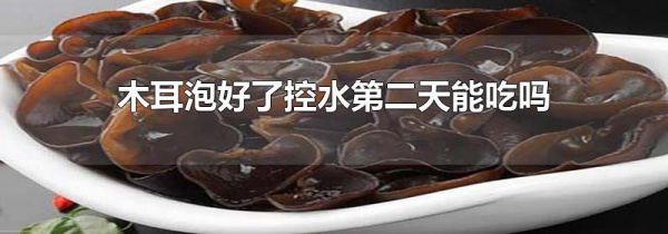 木耳泡好了控水第二天能吃吗