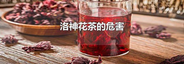 洛神花茶的危害