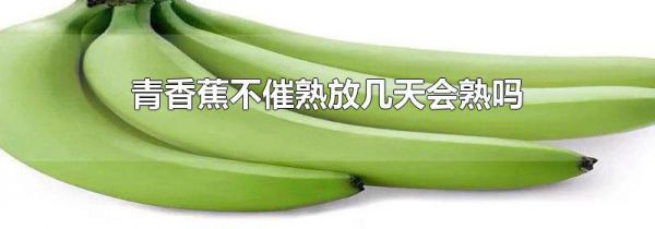 青香蕉不催熟放几天会熟吗