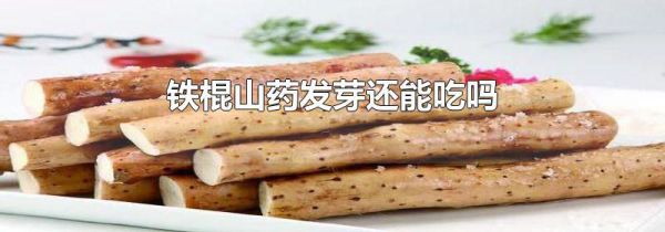 铁棍山药发芽还能吃吗